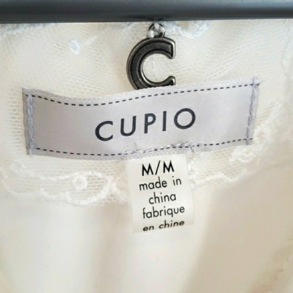 Classic CUPIO off white sparkle lace sheer ruffle long sleeve blouse - Picture 3 of 15